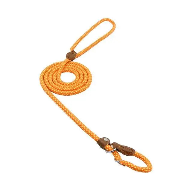 Nylon Pup Set - Epic Deals USA