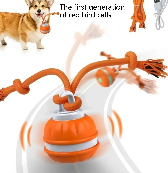 Interactive Pet Rolling Ball Toy USB Rechargeable - Epic Deals USA