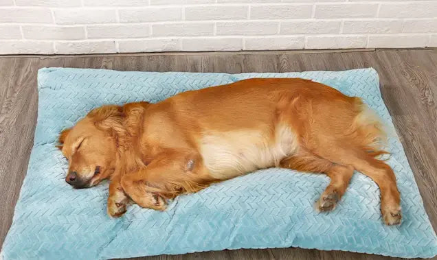Plush Pet Bed - Epic Deals USA