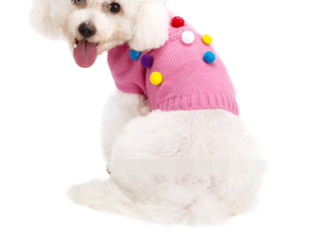 high-end-winter-pet-clothes-for-bulldogs-and-pugs