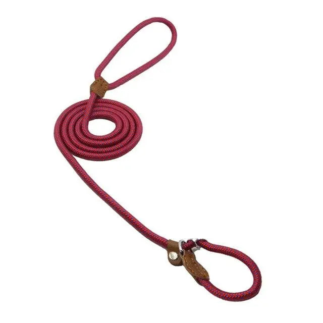 Nylon Pup Set - Epic Deals USA