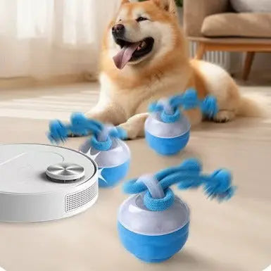 Interactive Pet Rolling Ball Toy USB Rechargeable - Epic Deals USA