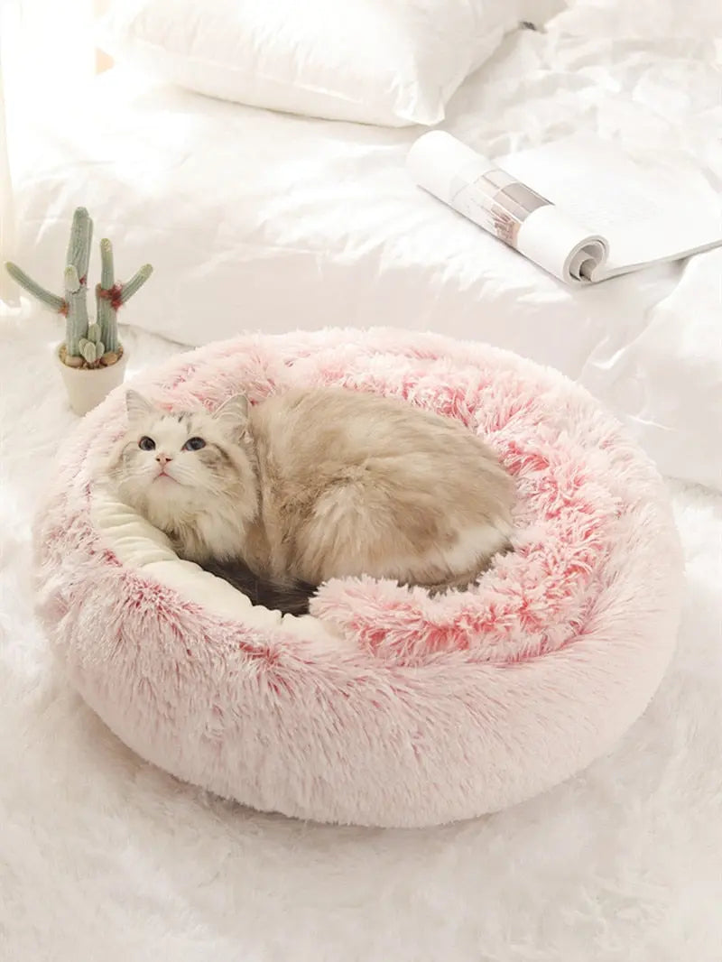 2-in1 Pet Bed - Epic Deals USA