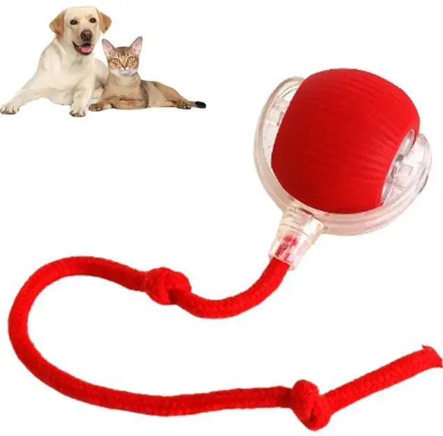Smart Rolling Pet Ball interactive automatic toy with rope attachment for cats