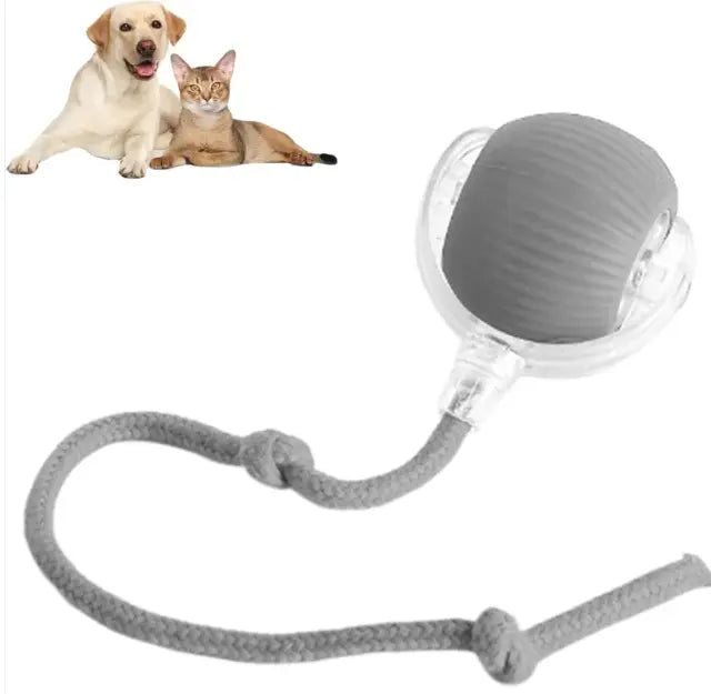 Smart Rolling Pet Ball - Epic Deals USA