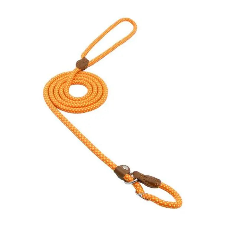 Nylon Pup Set - Epic Deals USA