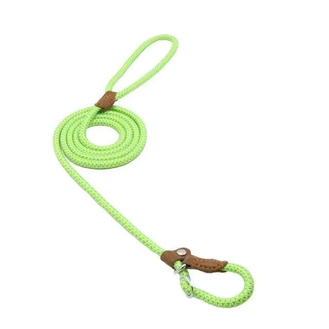 Nylon Pup Set - Epic Deals USA