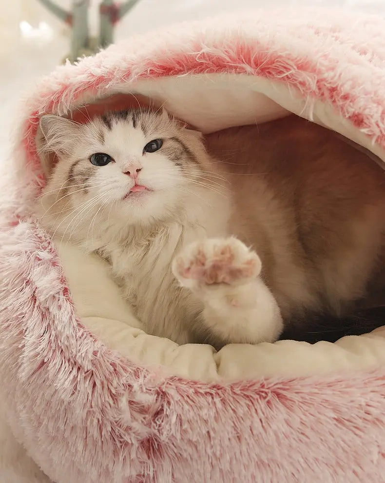 2-in1 Pet Bed - Epic Deals USA
