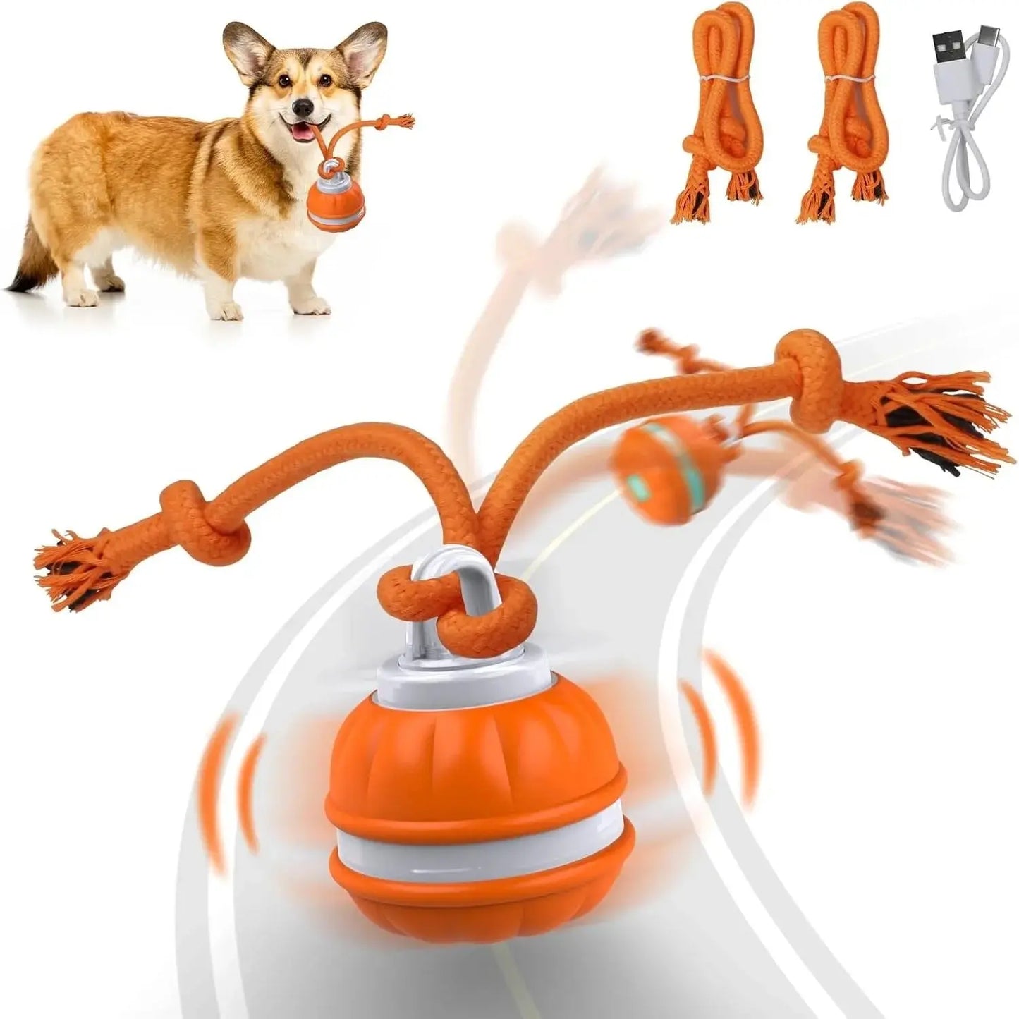 Interactive Pet Rolling Ball Toy USB Rechargeable - Epic Deals USA