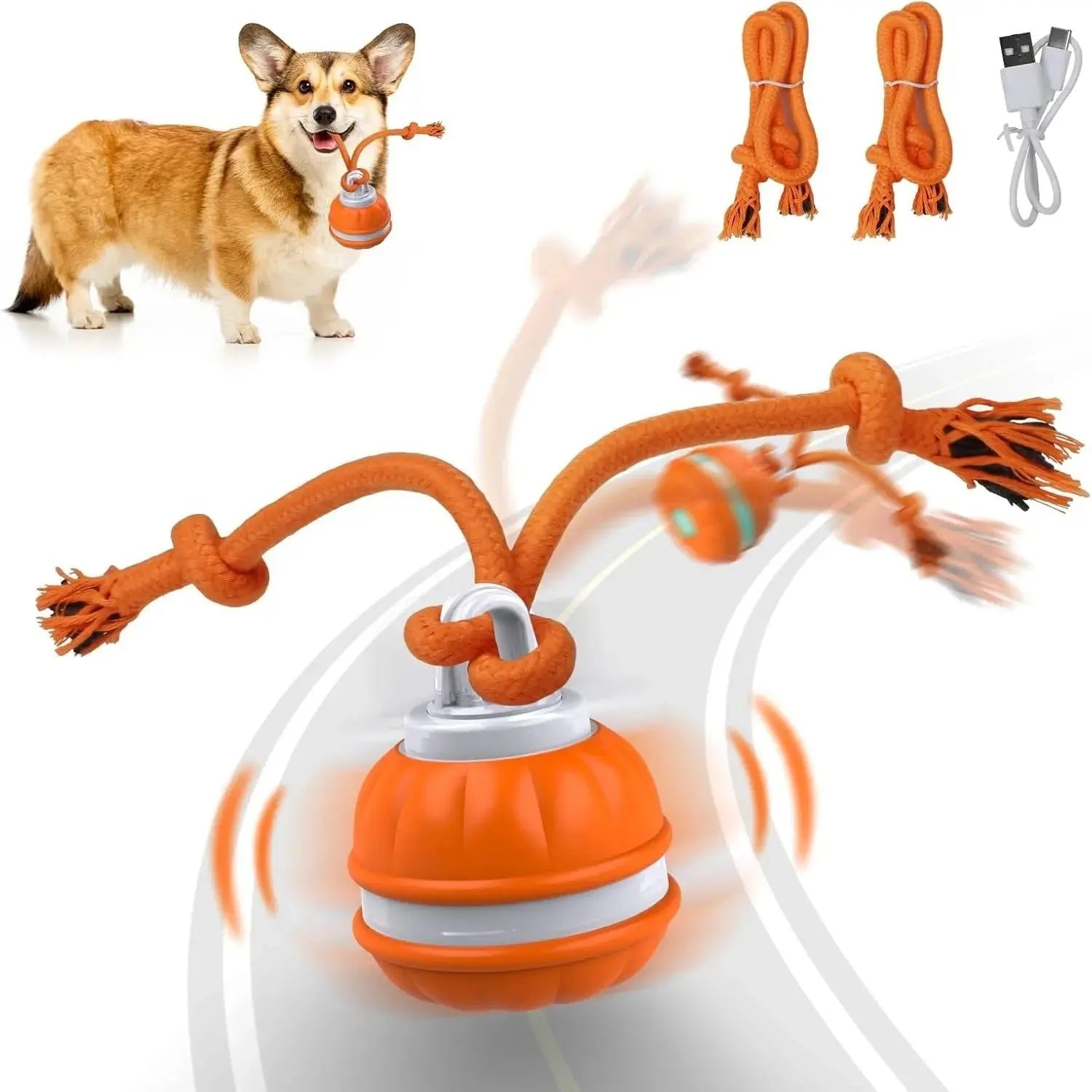 Interactive Pet Rolling Ball Toy USB Rechargeable - Epic Deals USA