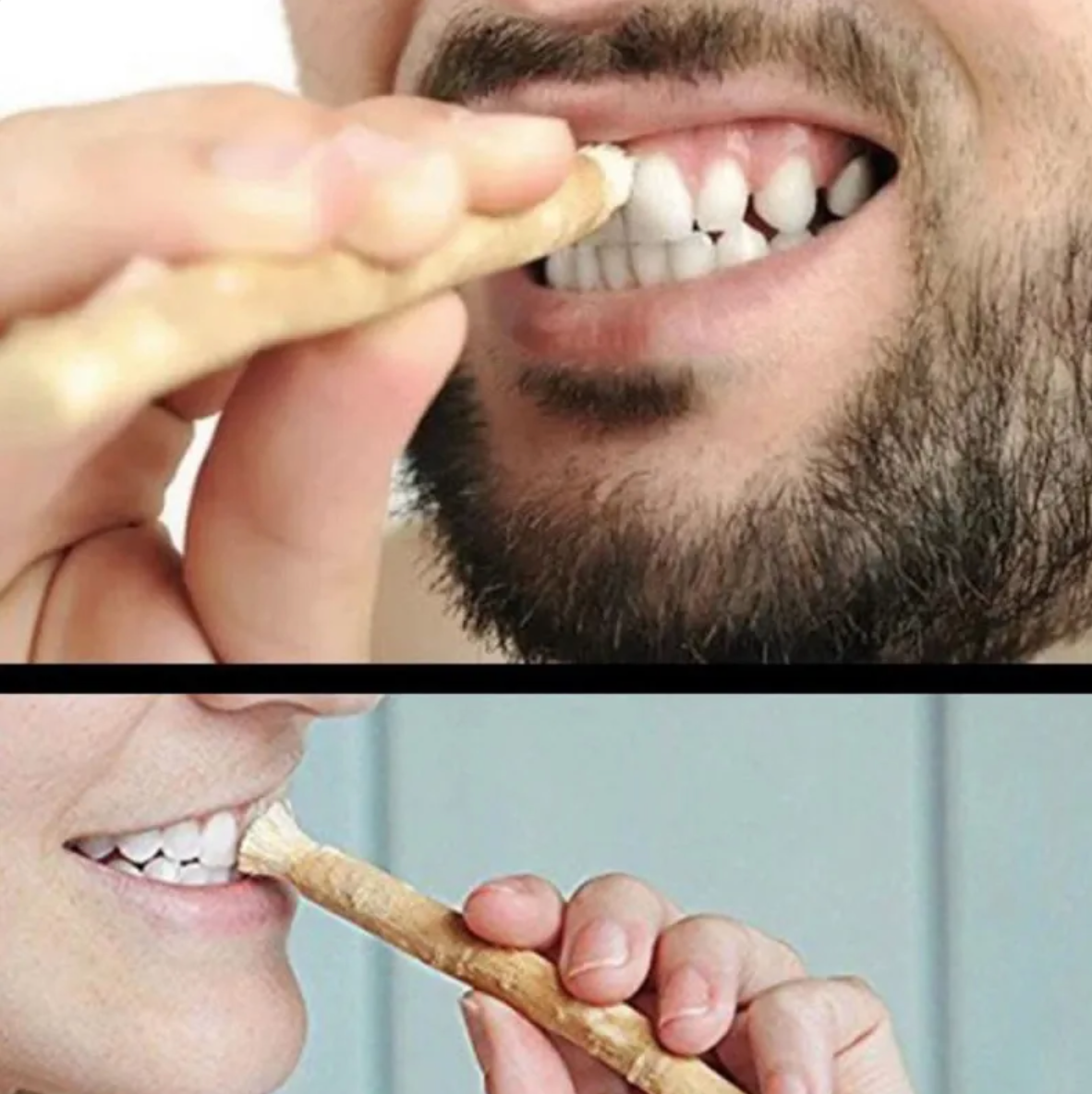 Miswak Tooth Cleaning Stick - Epic Deals USA
