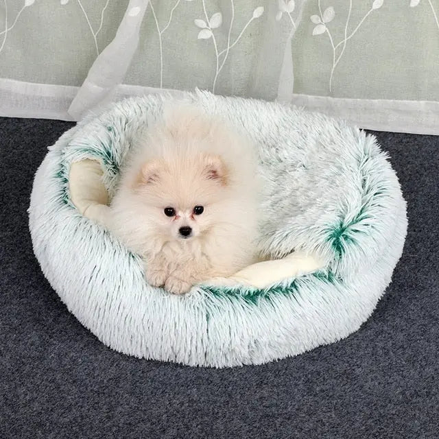 2-in1 Pet Bed - Epic Deals USA