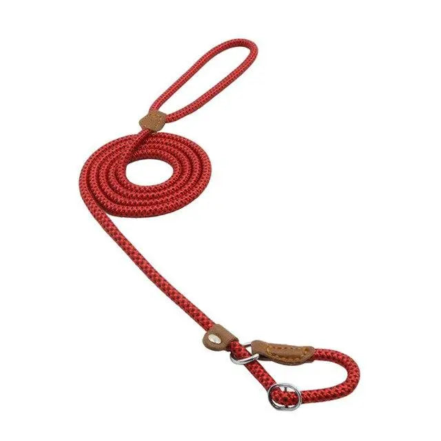 Nylon Pup Set - Epic Deals USA