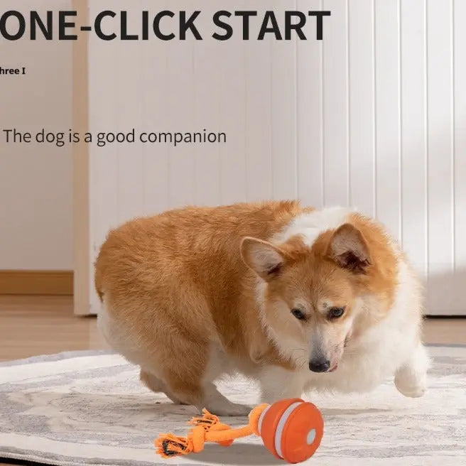 Interactive Pet Rolling Ball Toy USB Rechargeable - Epic Deals USA