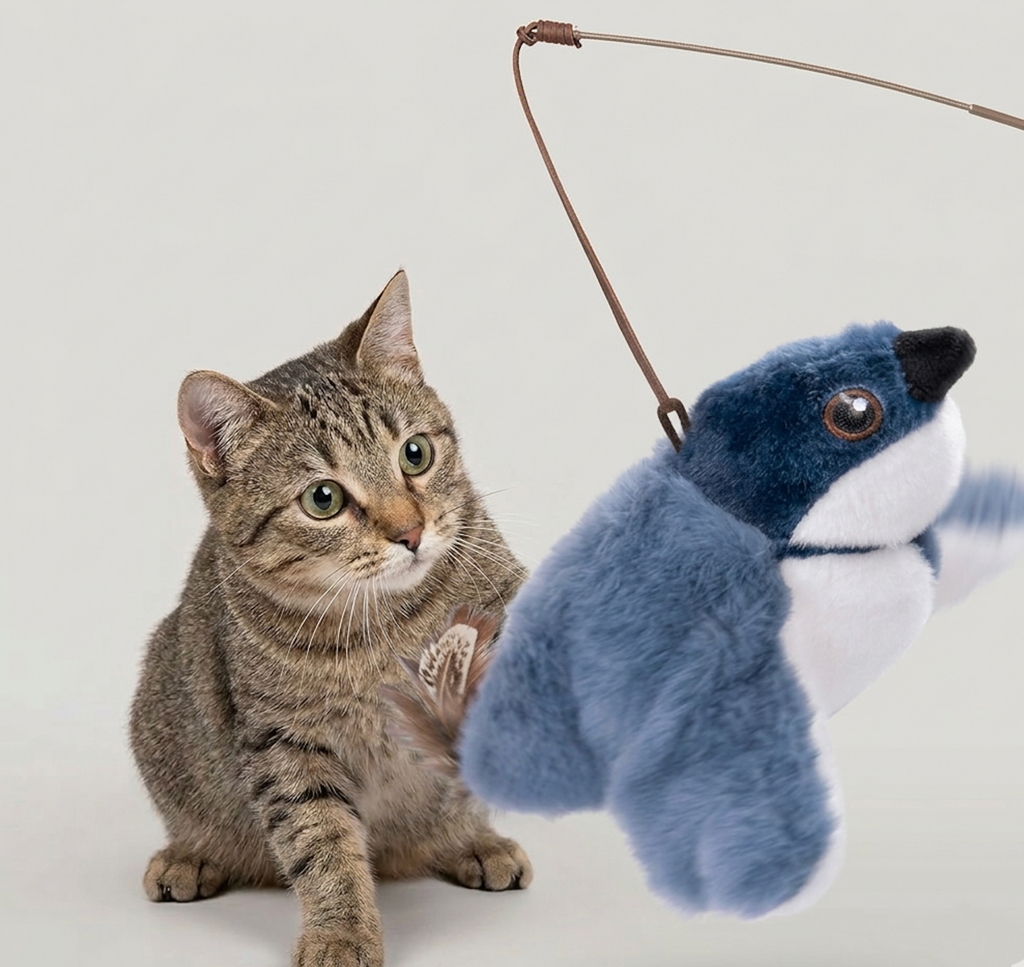 Flapping Bird Cat  Toy - Epic Deals USA