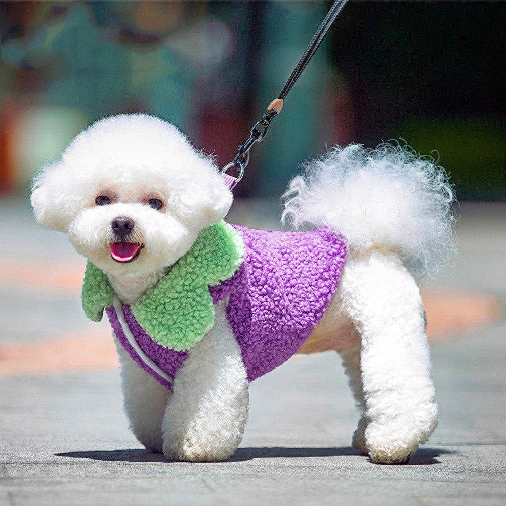 korean-style-lace-warm-pet-clothes-with-lotus-leaf-design
